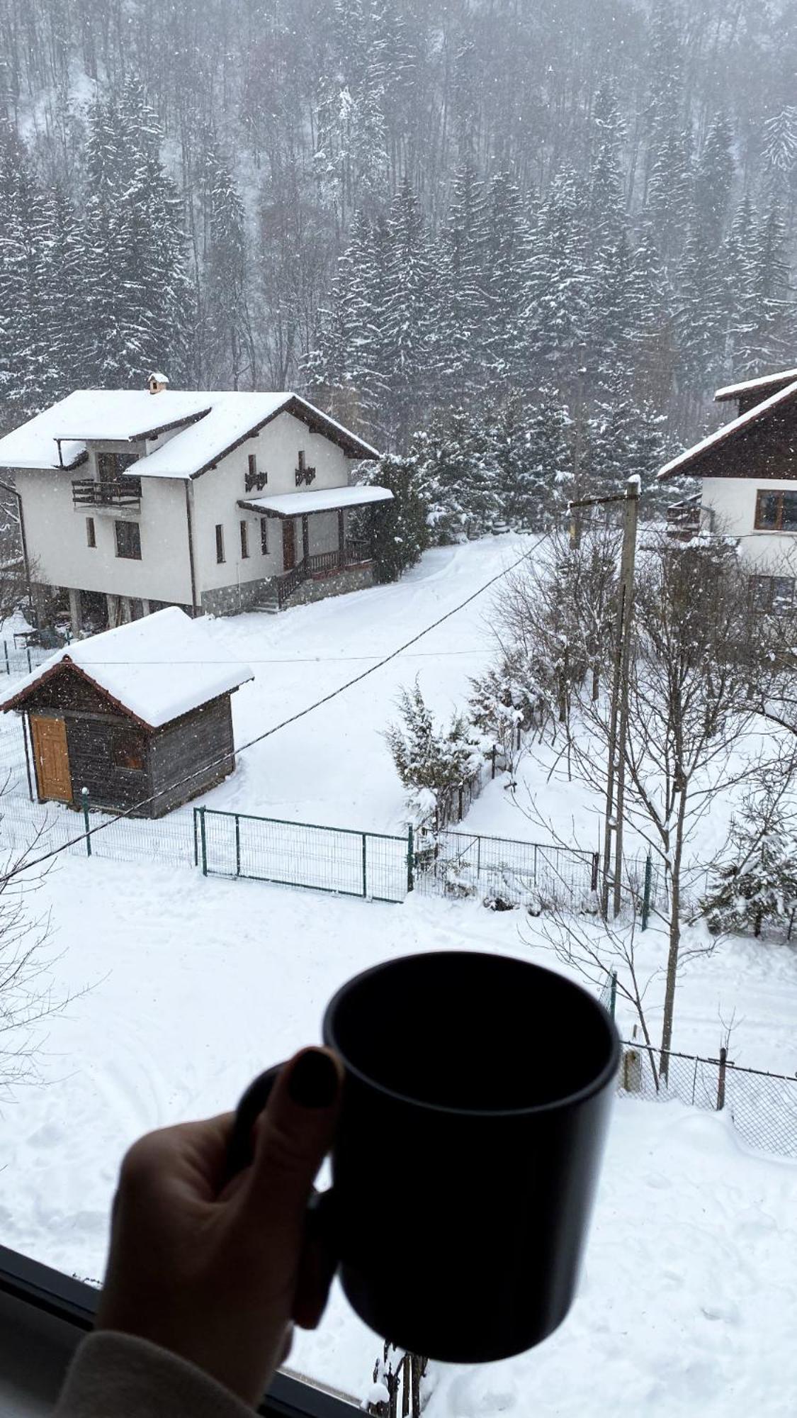 Queen'S Heart Guesthouse Bran  Luaran gambar