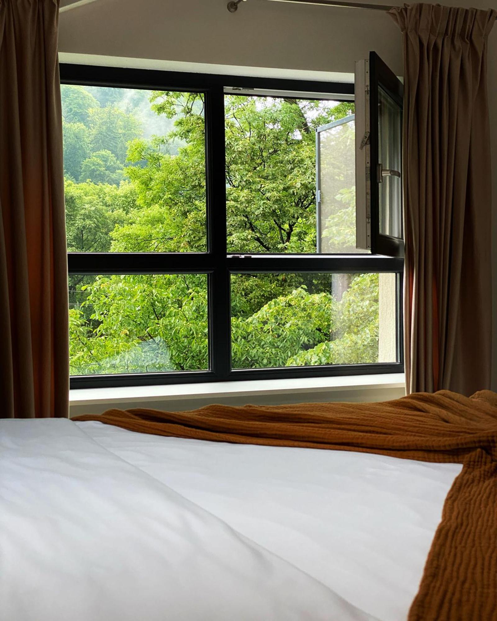Queen'S Heart Guesthouse Bran  Luaran gambar